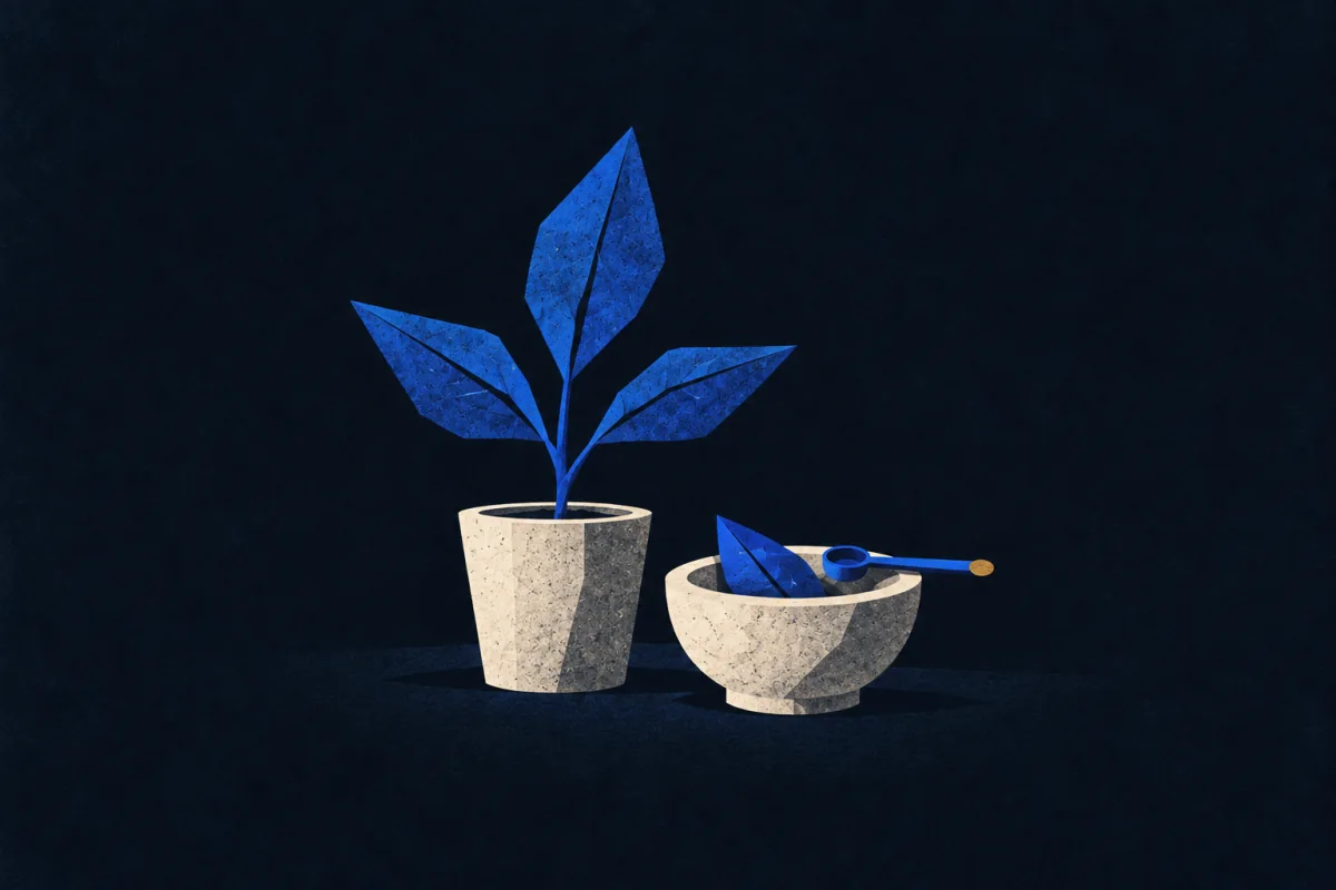 Midnight Symbols card representing Plant-Doctor.