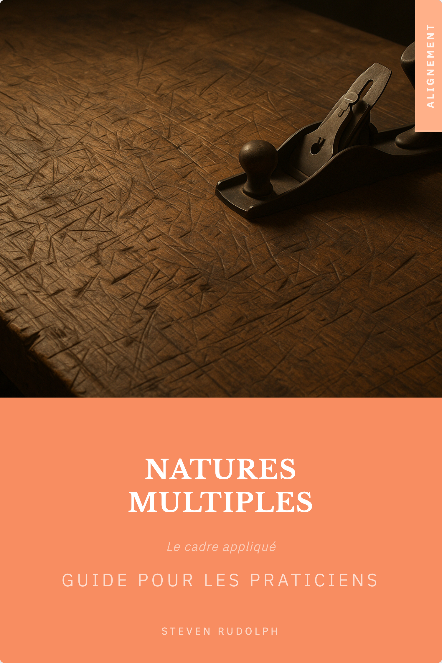 Couverture du livre Natures Multiples pour les praticiens