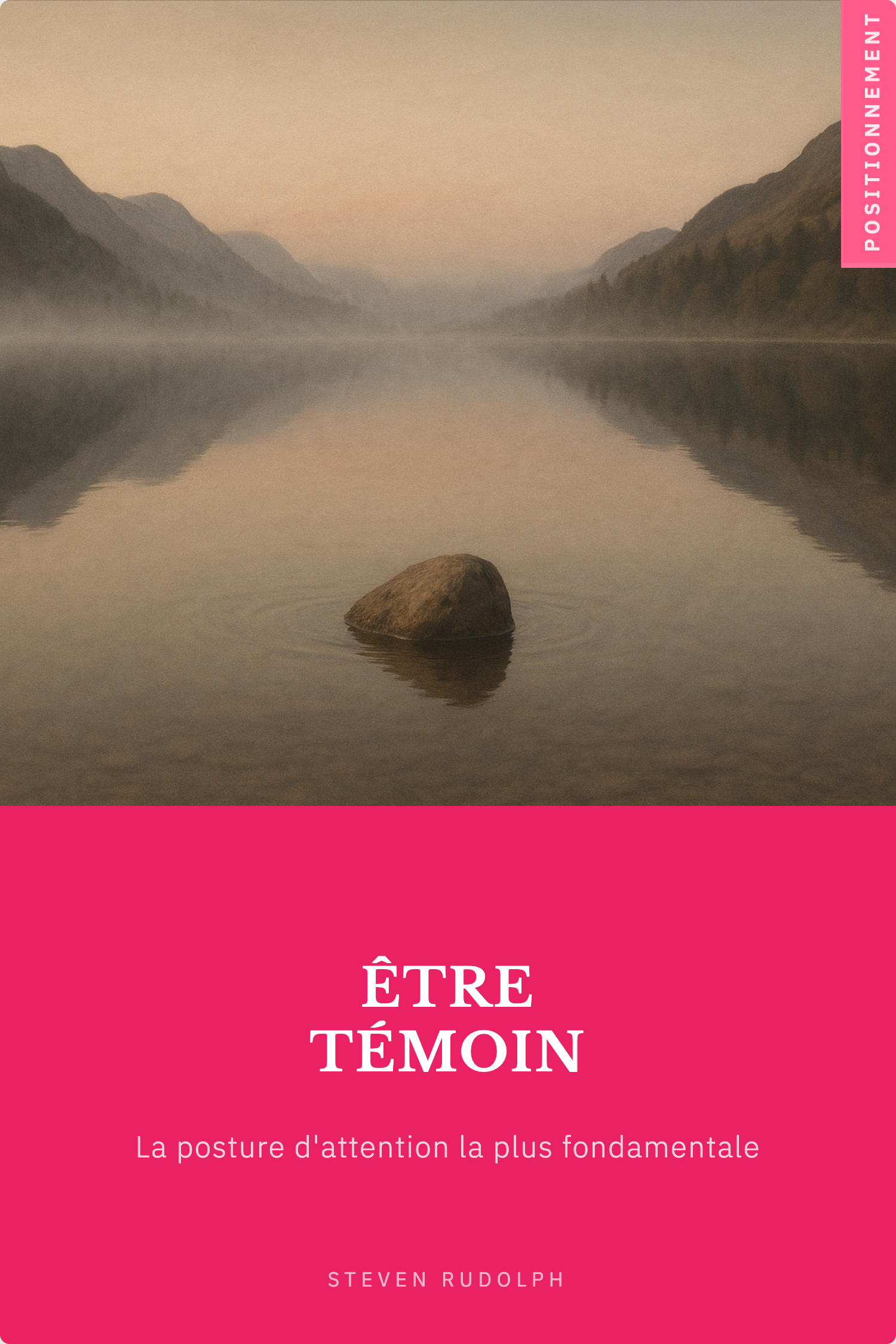 Couverture du livre Être témoin