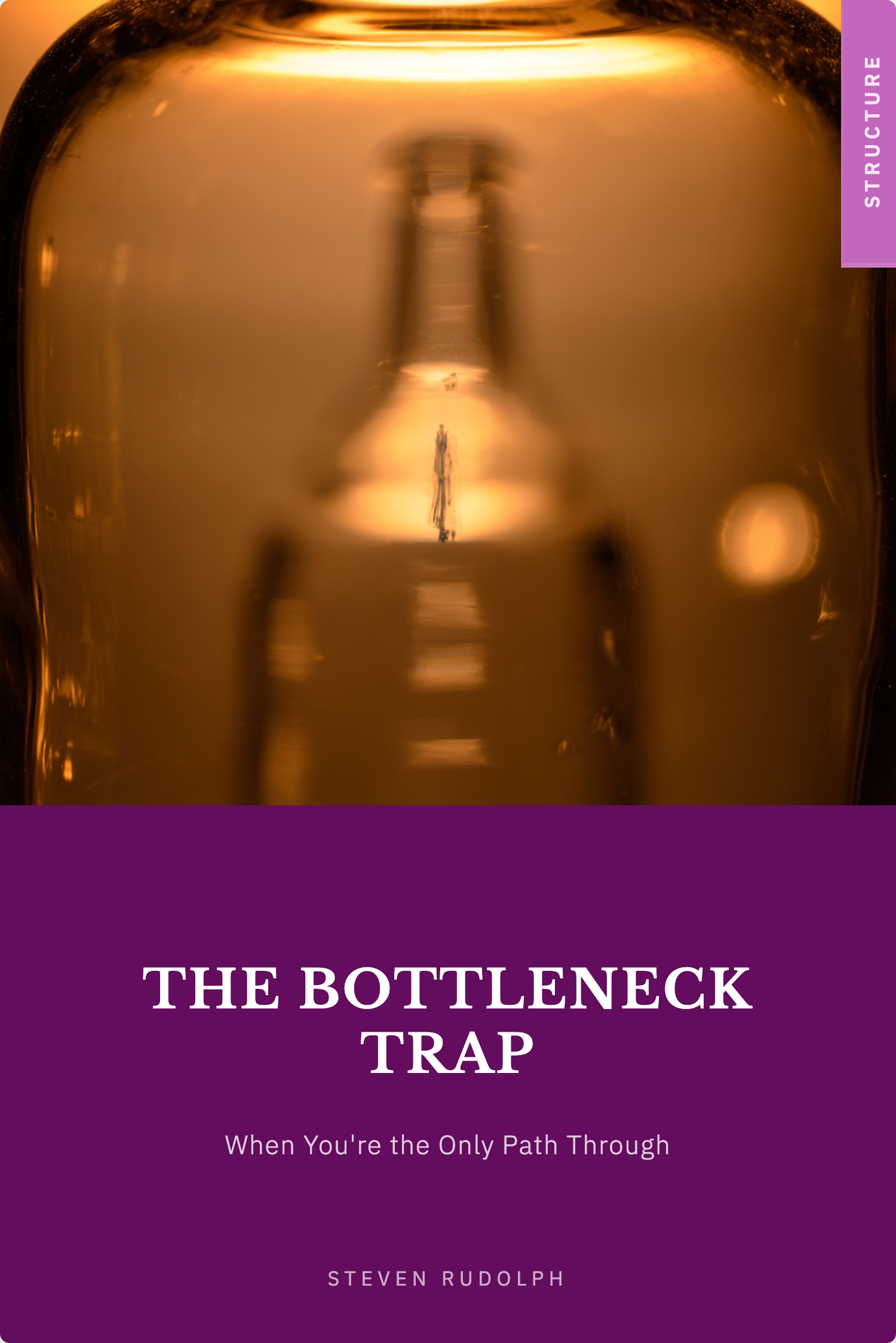 The Bottleneck Trap book cover
