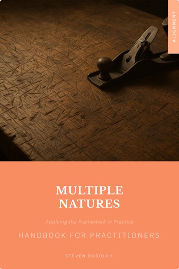 MN for Practitioners book cover