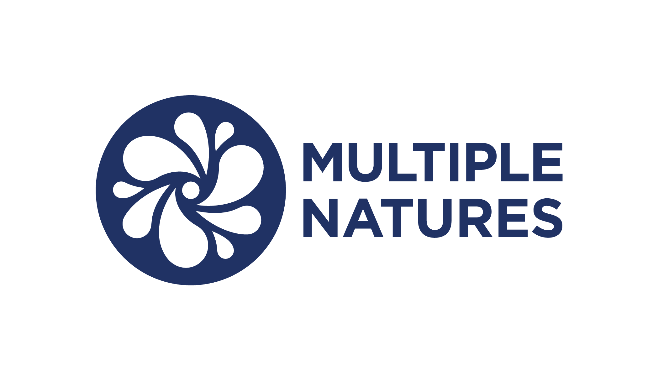 Multiple Natures International